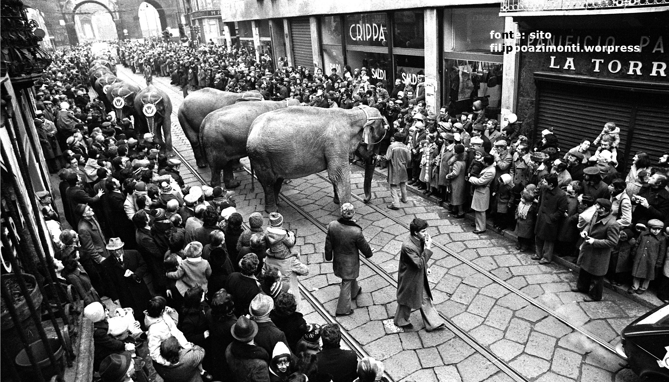 Gennaio 1977 animali da Circo, Elefanti (Festa della Befana) in Corso di PortaTicinese. Autore De Bellis.